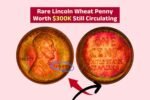 Rare Lincoln Wheat Penny Worth $300K Still Circulating – Check Your Spare Change Today