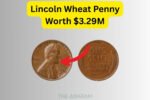Discover the Lincoln Wheat Penny Still in Circulation Worth a Stunning $3,290,000